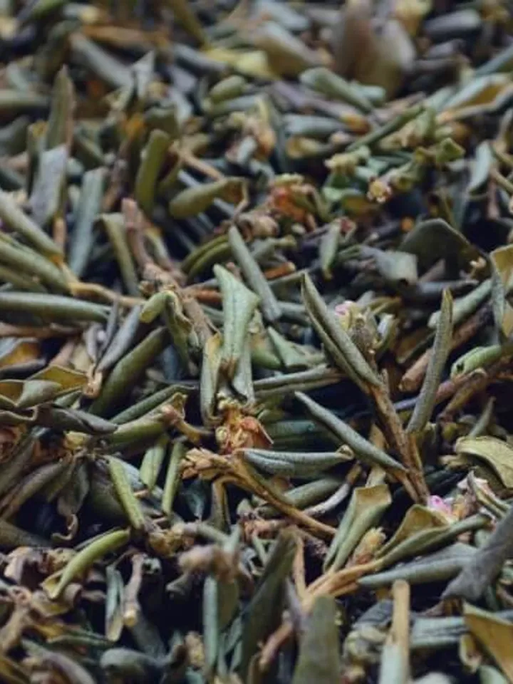 Sagan Dailya alpine Baikal Herbal Tea