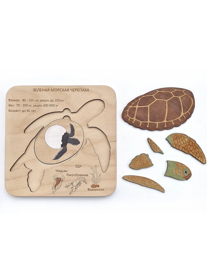 Wooden handmade Puzzle Green sea turtle Montessori puzzle science play