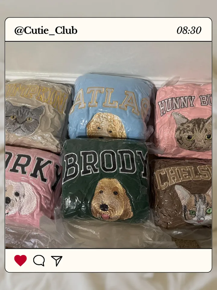 Custom Dog Face Embroidered Sweatshirt, Personalized Pet Crewneck Hoodie, Embroidered Crewneck, Gift for Dog Mom, Pet Lovers Gift