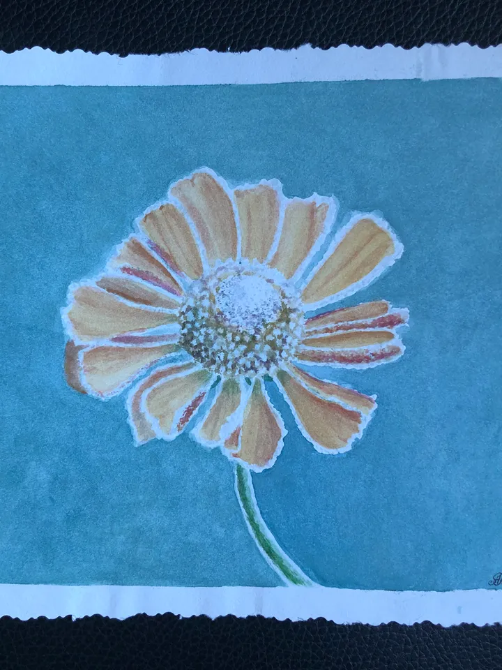 Helenium flower wall art painting living room original watercolour hand painted modern painting