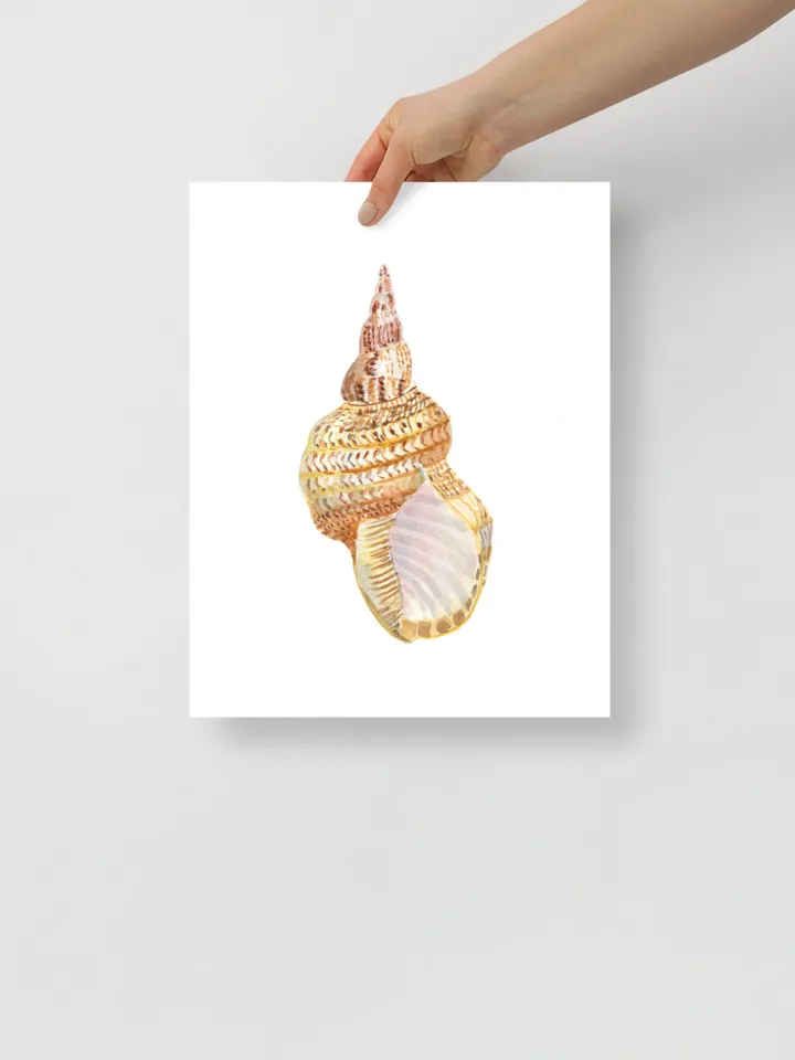 Shell art  Sea Shell Art Shell Decor Beach Cottage Art Sea Shells Painting Marine Aqua Beach House Art Beach Art Marine Aqua