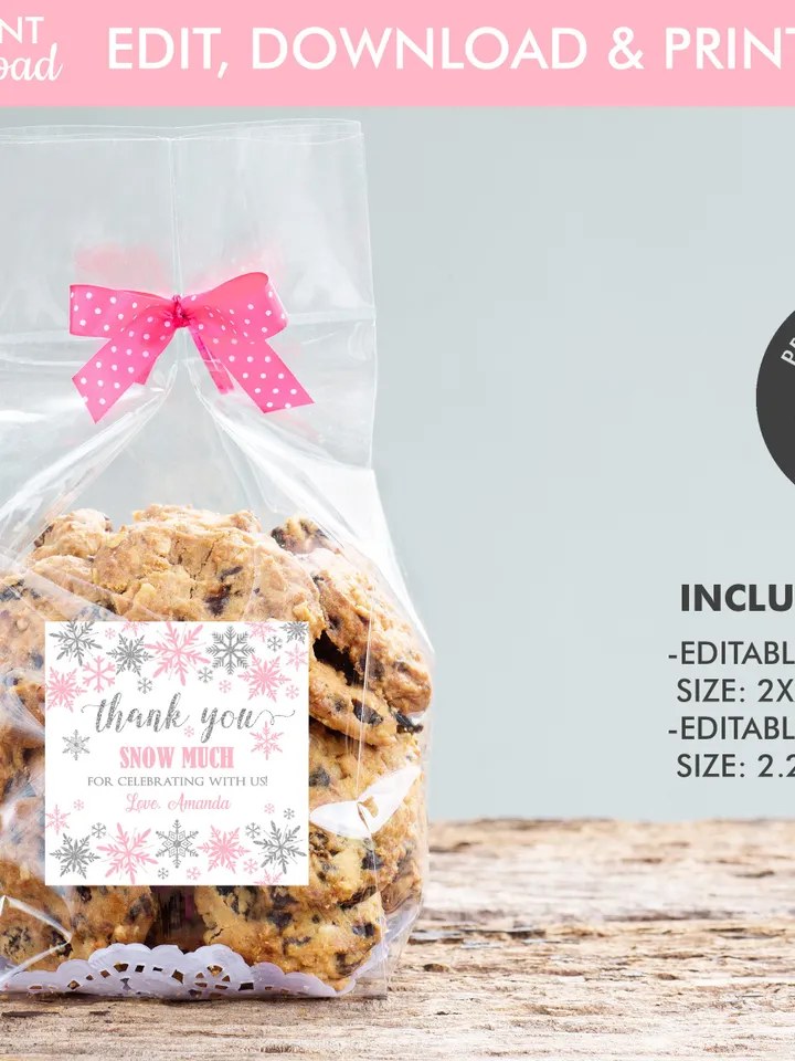 Winter Onederland Favor Tags, Thank You Tags, Snowflakes Gift Tags Winter Onederland Birthday Girl Decorations Pink Silver Editable Template