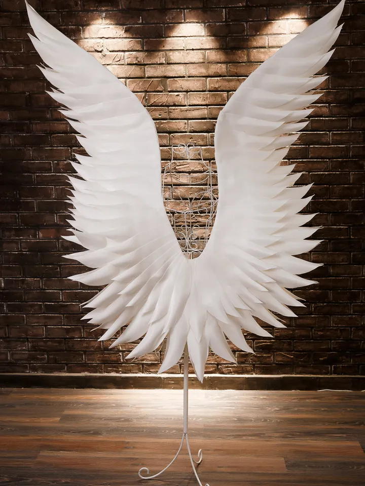 Angelic wings white costume for pregnancy photo shoot,  motherhood photo project, Wings cosplay, Angel wings adult