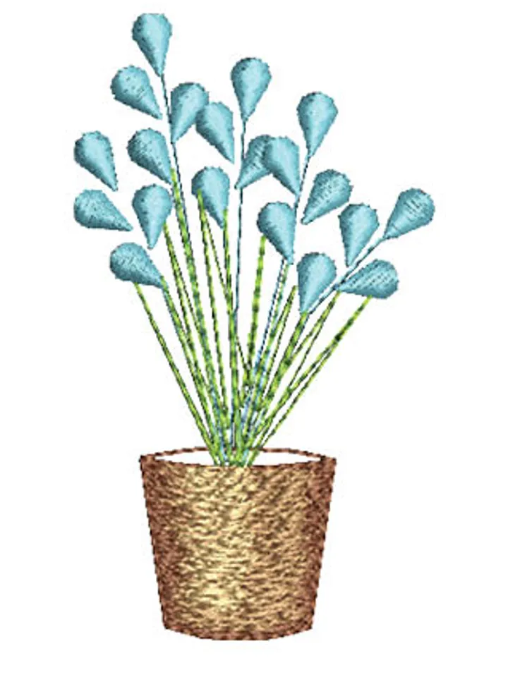 Flax Flowers