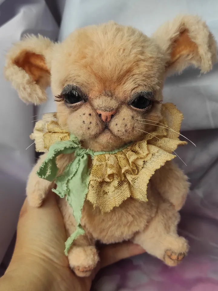 Teddy Bunny