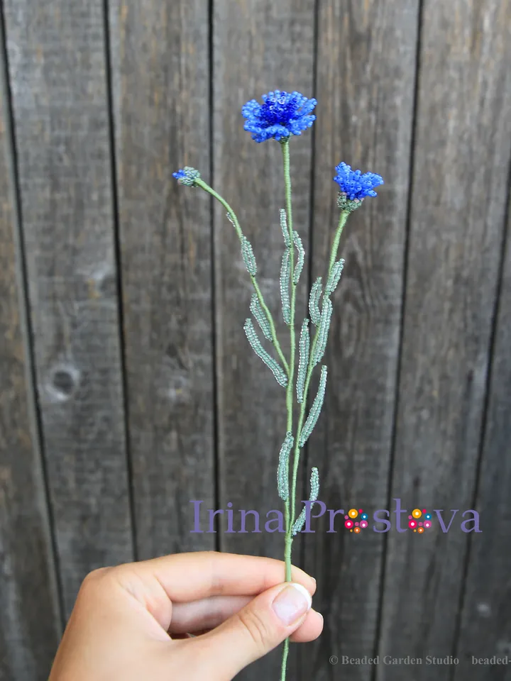 Beaded Flowers pattern |  Cornflower  | Seed bead patterns | Beadwork pattern | Digital Download - PDF