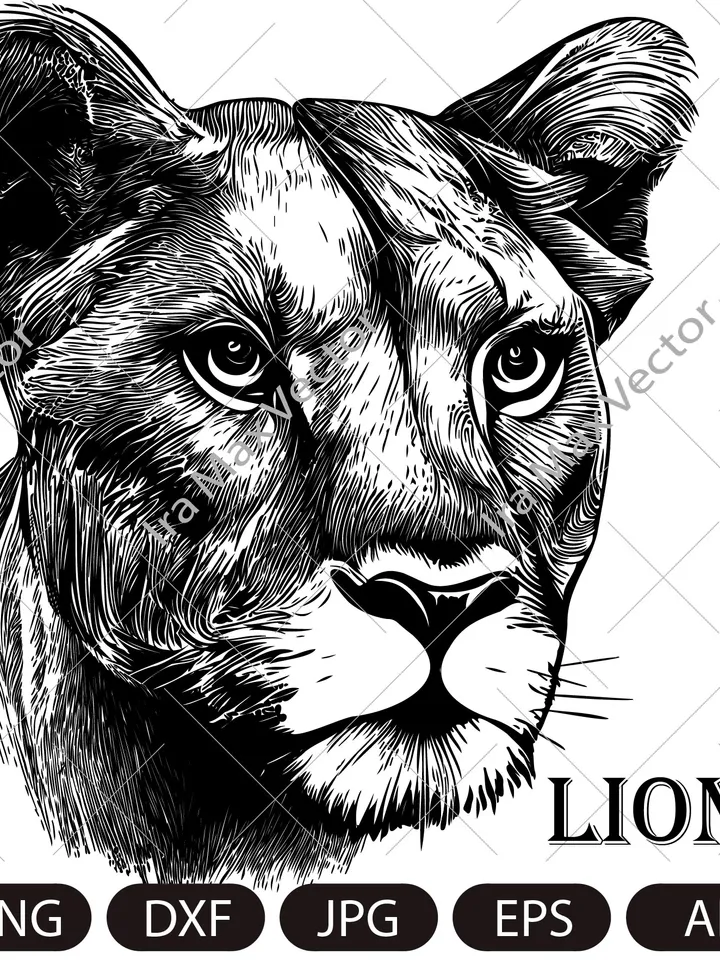 Lioness svg, Lioness head SVG, Lion face Svg, Wild cat Svg, Lion silhouette, Lioness portrait Svg, wild Lioness Svg