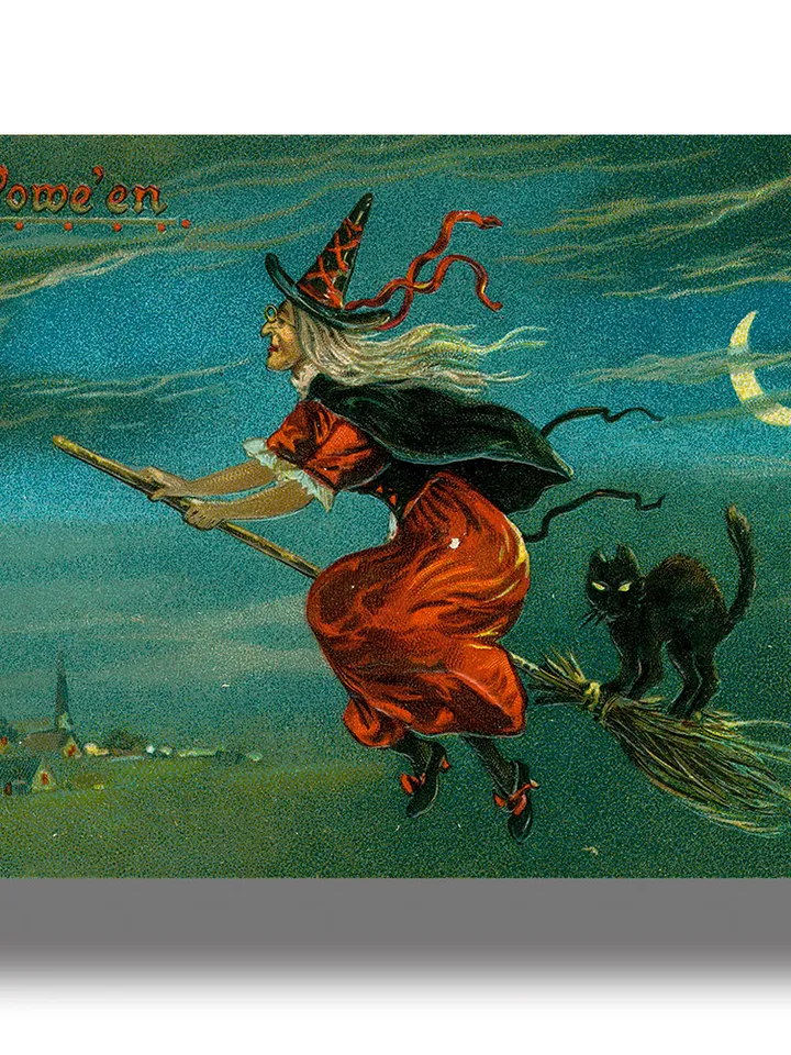 Halloween poster with a black cat and a witch on a broom.