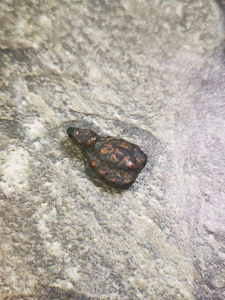 Gandhanra Old Tibetan Amulet,Scorpion Guru of Padmasambhava, Buddhist Scorpion Pendant, Made of Copper,0.95" × 0.55"