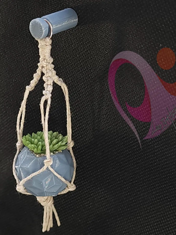 Mini Macrame Succulent Magnet for Fridge or Locker Unique Gift for Plant Lovers Cute Boho Kitchen Decor Under 10