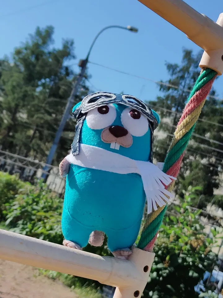 Gopher Golang. Gopher pilot