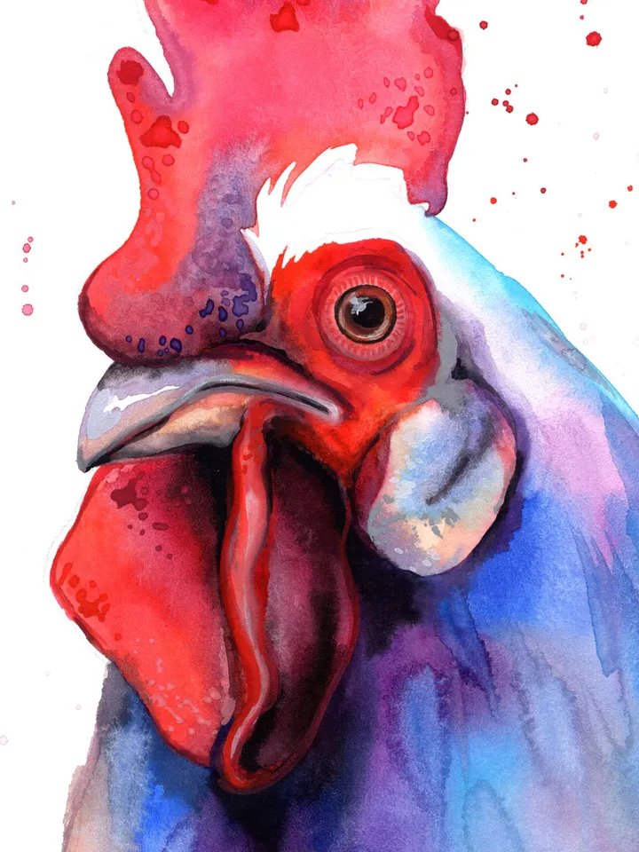Rooster Original watercolor, farm bird painting, wall decor, 8x11 in handmade birds art by Anne Gorywine