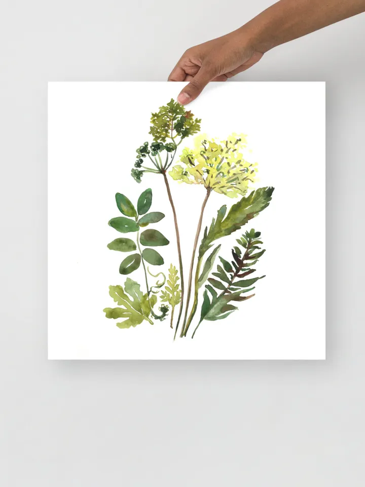 Watercolor Botanical Print Set Of 3 Floral Printable Art Gallery Wall Art Wild Flowers Art Floral Farmhouse Art Wild Flowers Minimalist Art