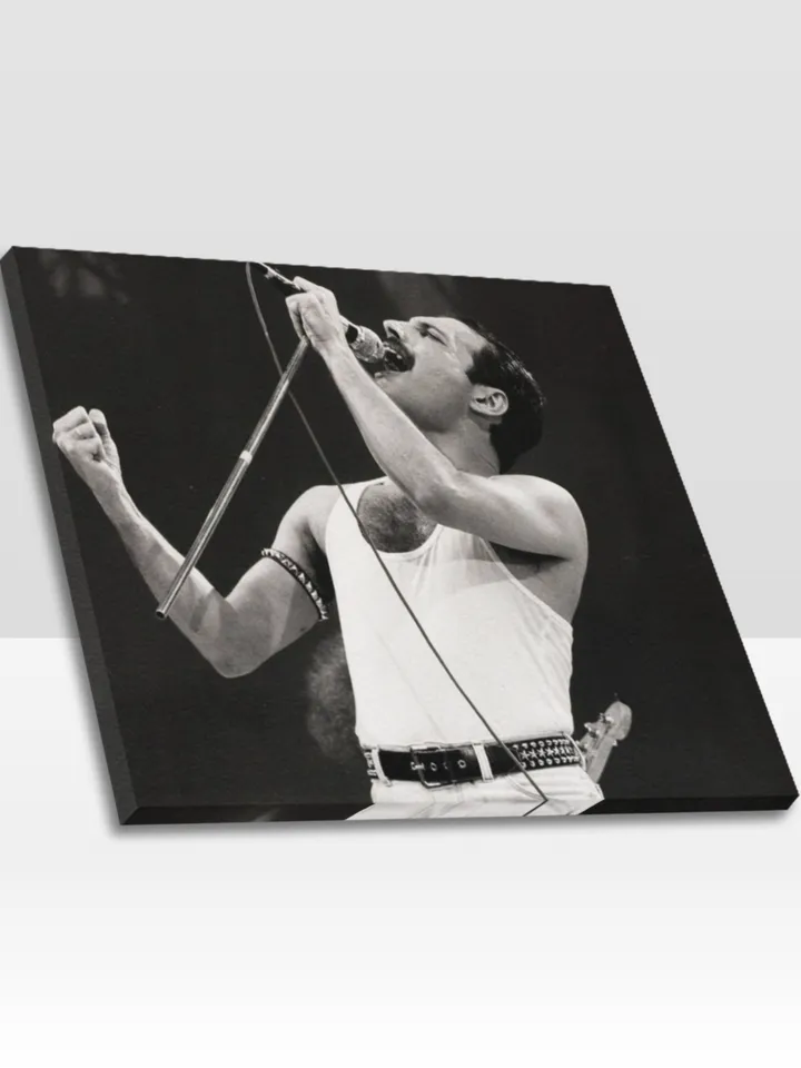 Freddie Mercury Frame Canvas Print, Wall Art Home Decor