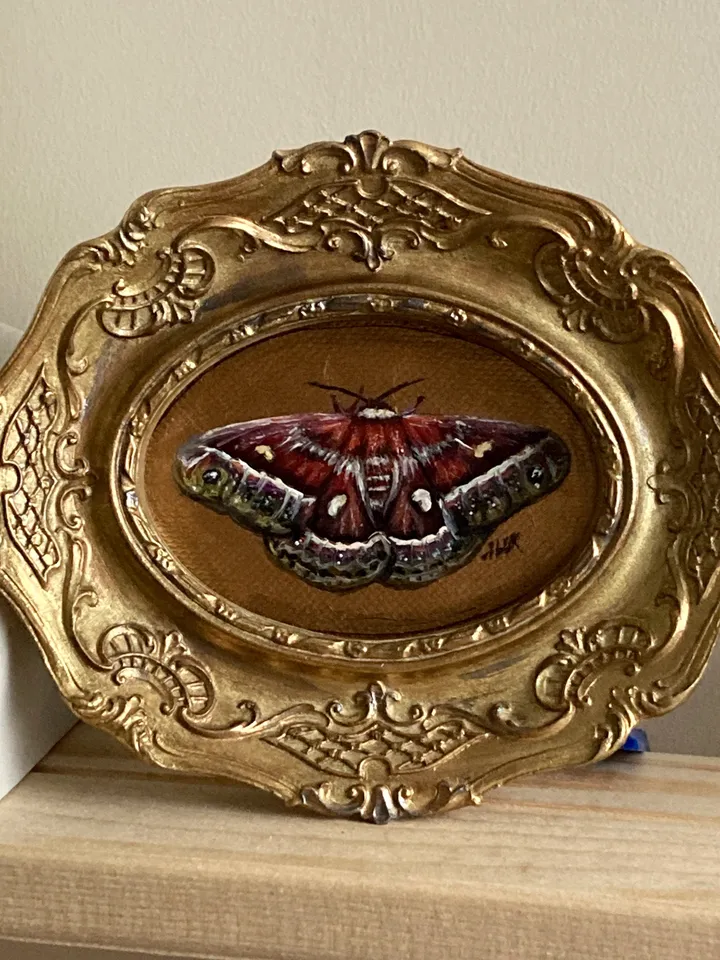 Moth Painting Original Gold Frame Art Original Oil Painting Small