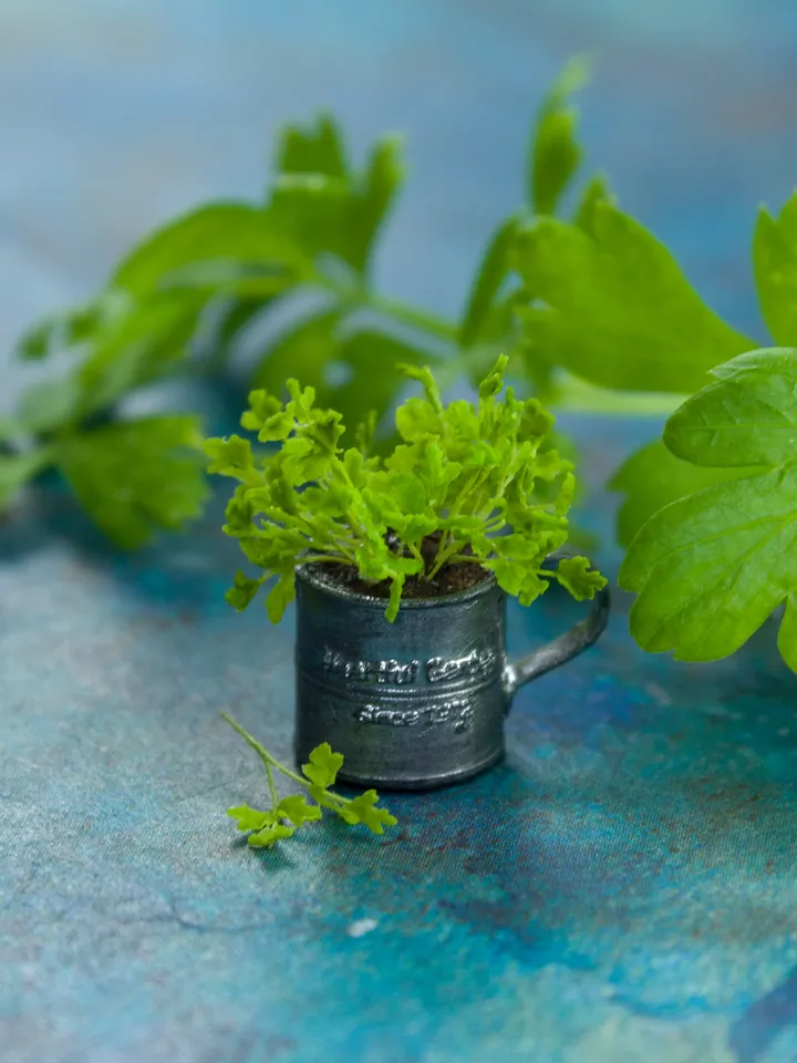TUTORIAL Miniature parsley with air dry clay