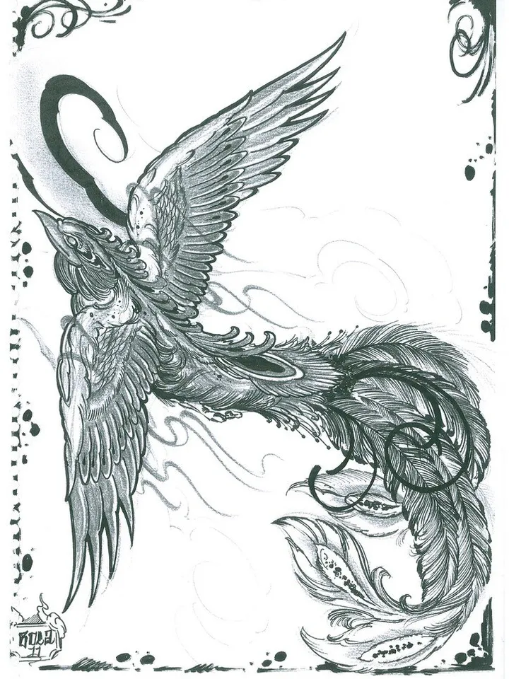 Bola sketchbook - Fenix
