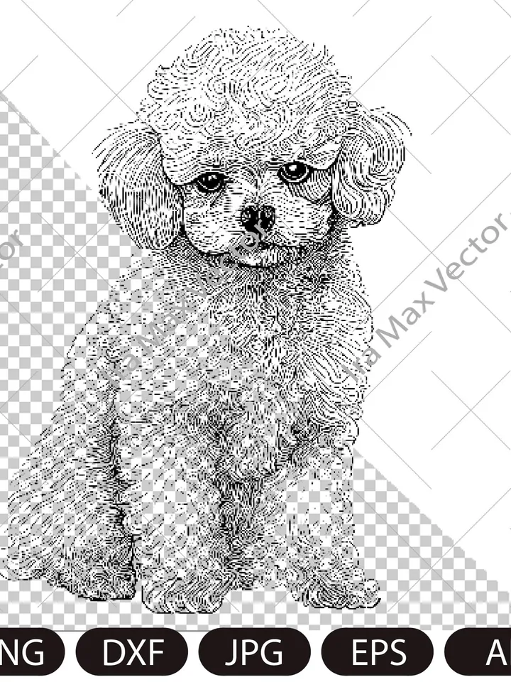 Toy Poodle Svg,Toy Poodle Clipart, Poodle Png, Poodle Head, Poodle Cut Files , Poodle Silhouette, Dog Silhouette