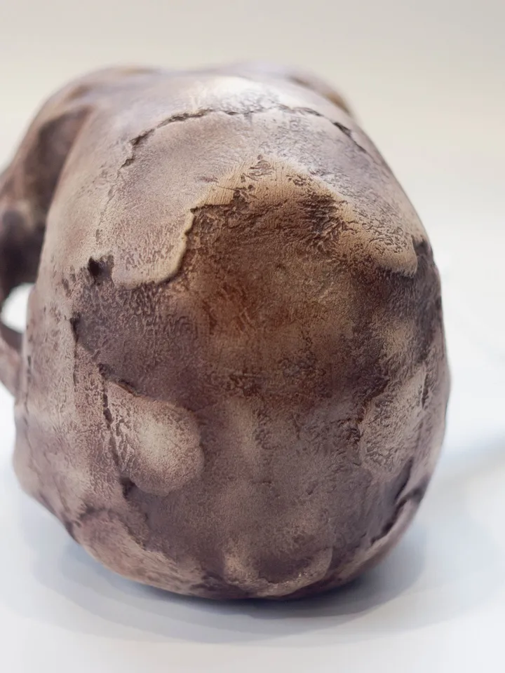 Homo Naledi Skull Replica Reconstruction, Prehistoric Fossil Collection, Realistic Hominid Skull, Museum Quality