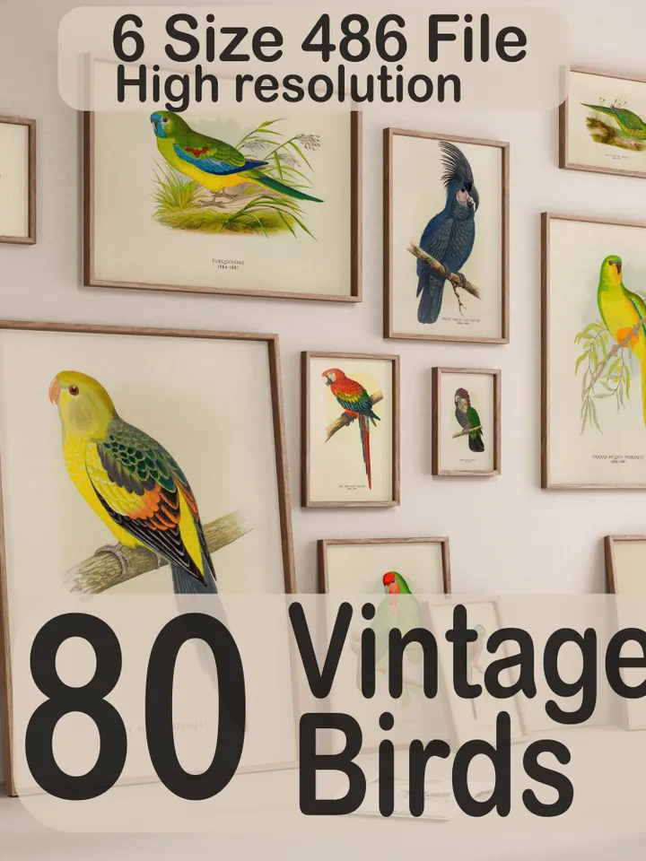 80+ Vintage Parrot Illustration Bundle Colorful Bird Wall Art Retro Parrot Prints Eclectic Antique Style Digital Download for Bird Lovers
