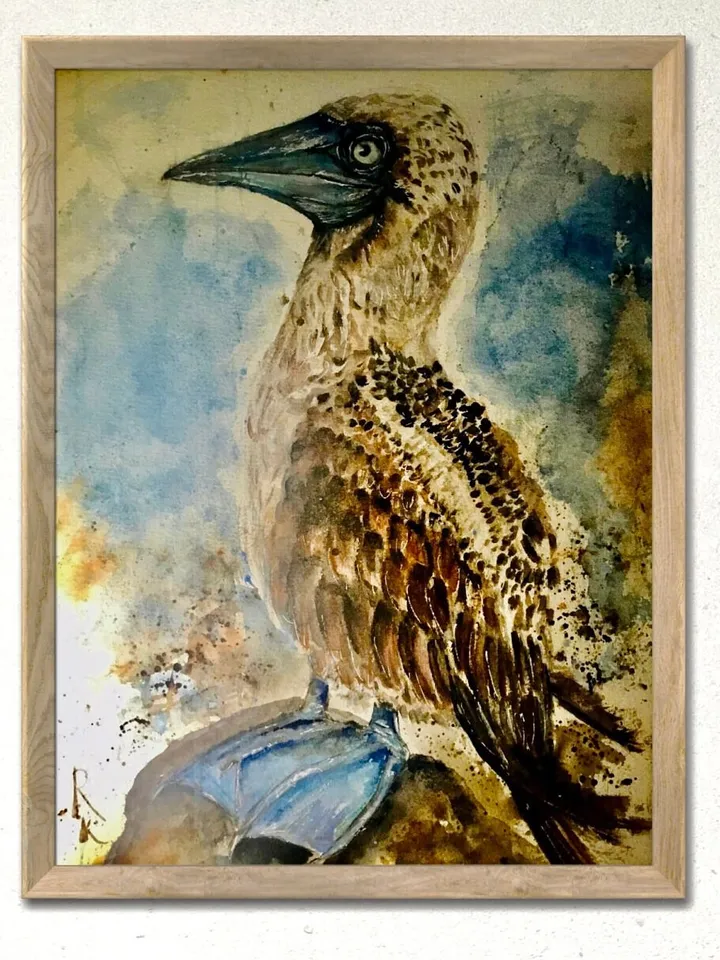 Blue footed booby original watercolour painting,exotic birds painting,birds wall decoration,interier design,unique handmade gifts.