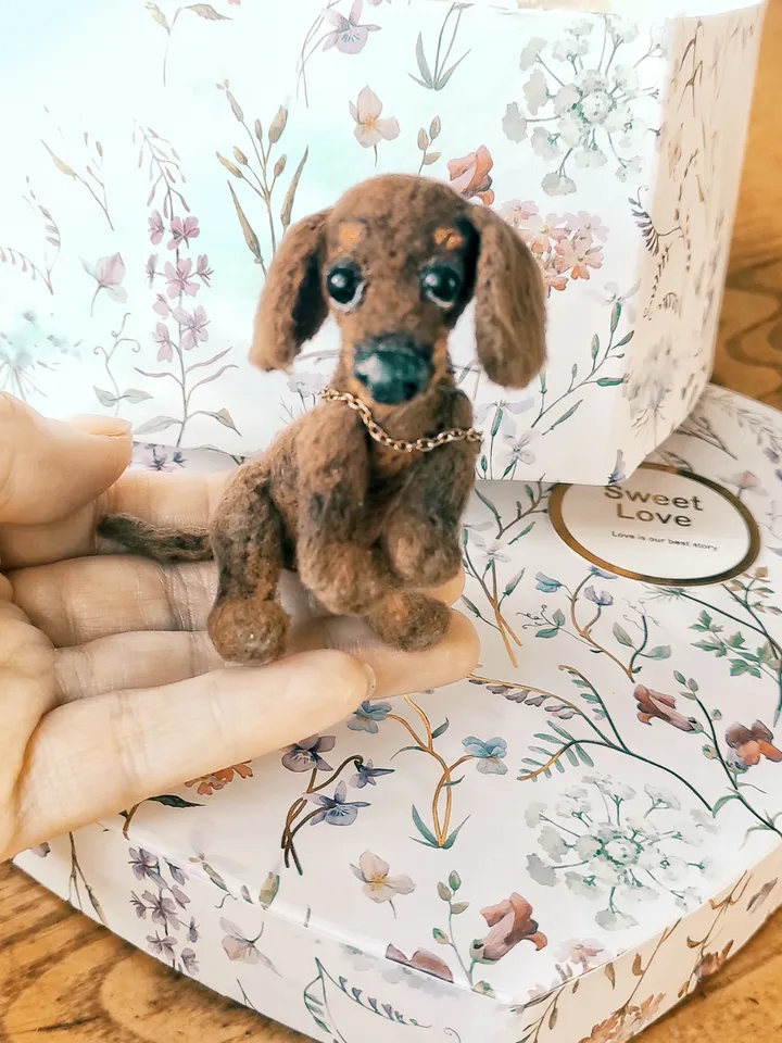 Miniature dachshund