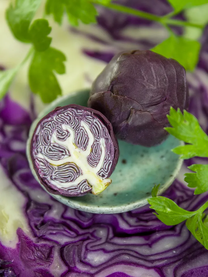 TUTORIAL Miniature red cabbage cane with polymer clay