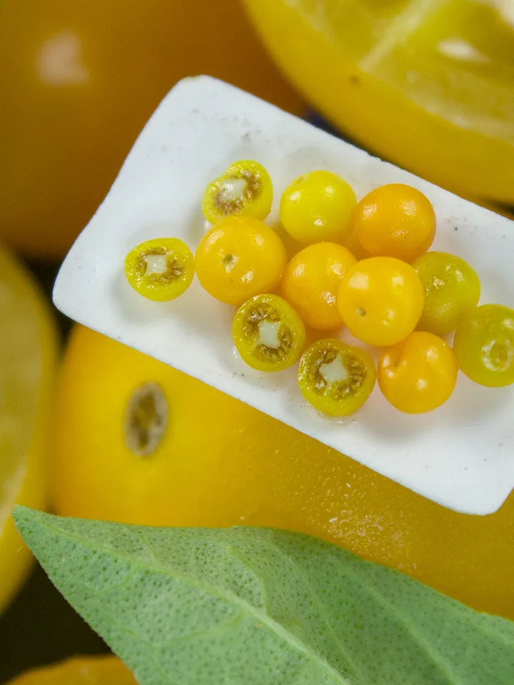 TUTORIAL Miniature yellow tomato cane with polymer clay