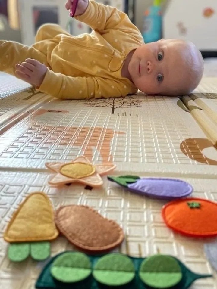 Handmade Montessori Felt Busy Book for Baby Girl Quiet Activity Book Toddler 6 12 Months Soft Fabric Sensory Gift 1 Year Old Kinderkrama