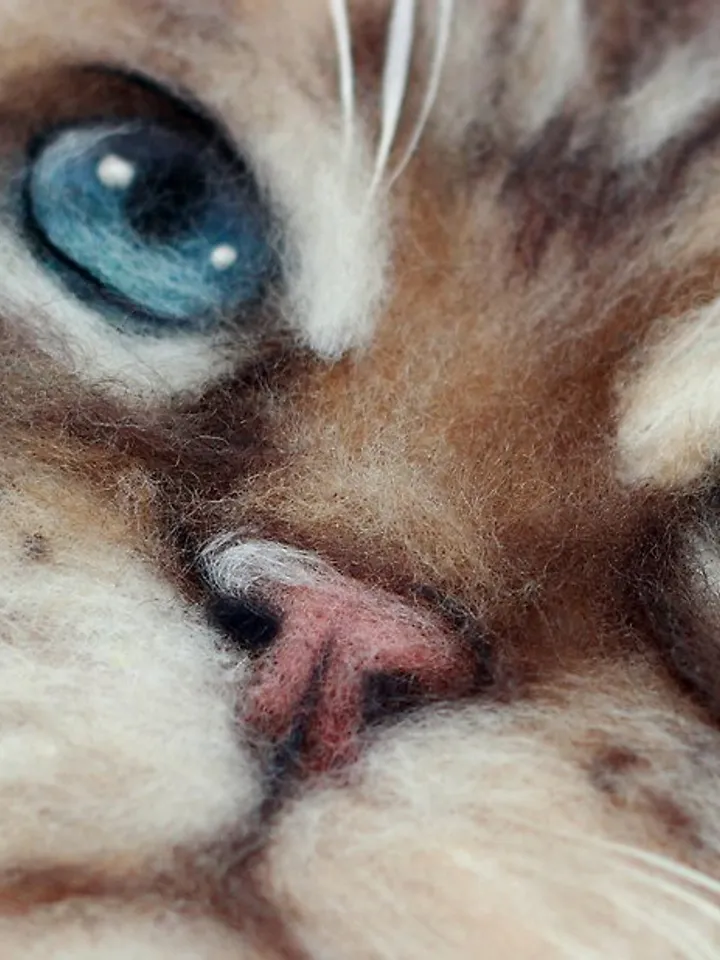 Realistic Felted cat portrait from photo,Christmas Gift Wrapping,Customized gift