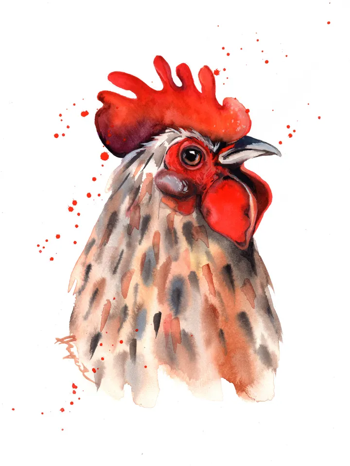 Rooster Original watercolor, farm bird painting, wall decor, 8x11 in handmade art by Anne Gorywine