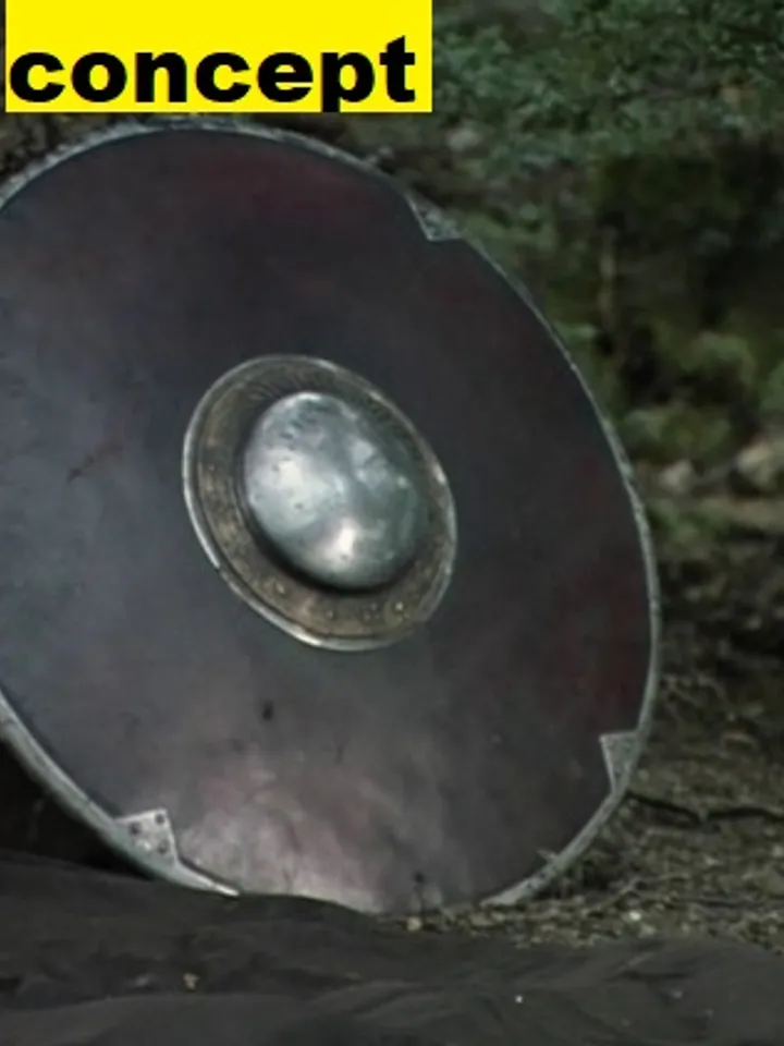 Cosplay Boromir's Shield for Damien - made to order - custom order