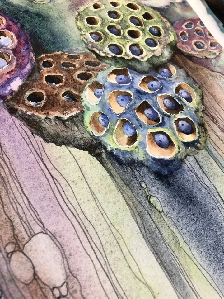 Flowers Original Lotus Painting Watercolor and ink Water Lilies Art