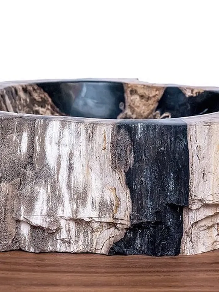 Bath sink from petrified wood