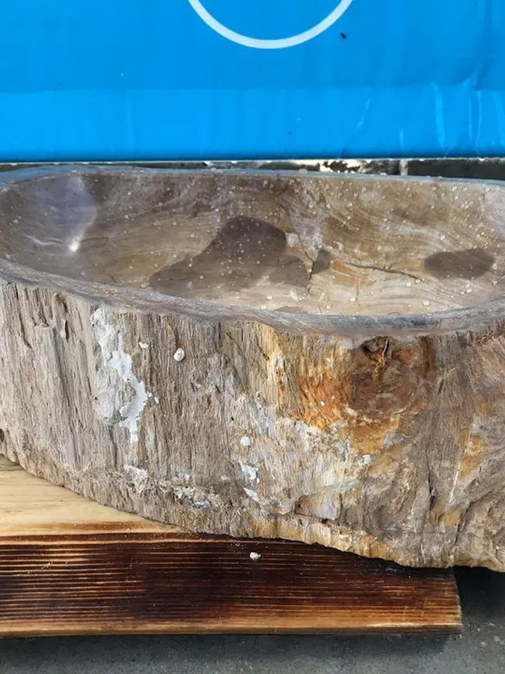 Fossil