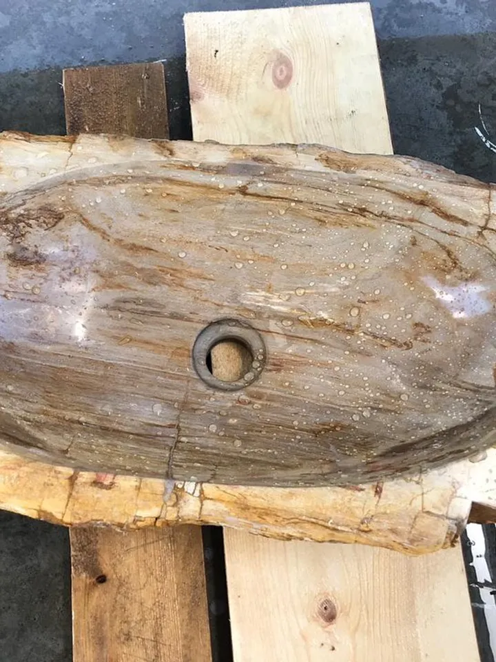 Fossil
