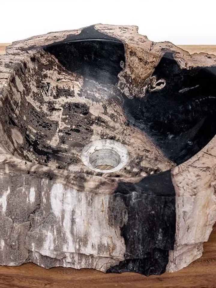 Bath sink from petrified wood