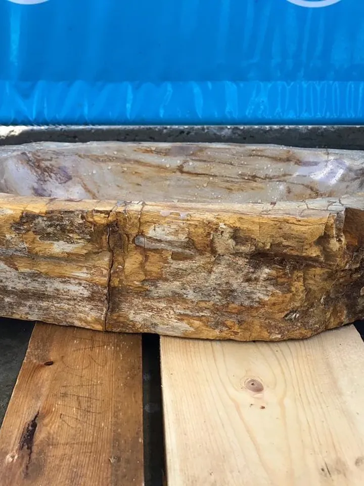 Fossil