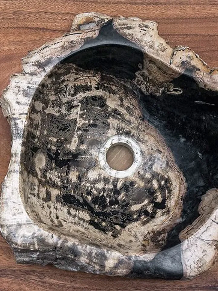 Bath sink from petrified wood