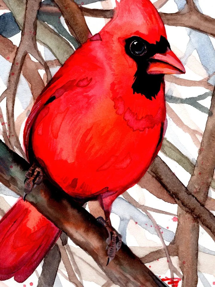 Red Cardinal Bird Watercolour, bird painting, wall decor, birds lover gift, 8x11 in handmade art by Anne Gorywine