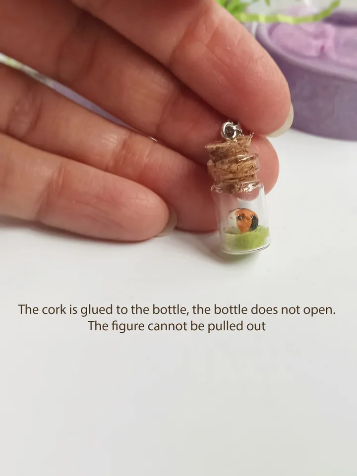 Handmade tricolor guinea pig in a glass jar (US discount)
