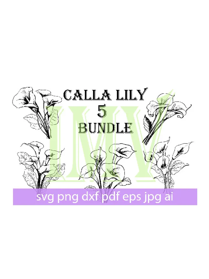 Calla Lily SVG, Calla Lily bouquet, Spring Flower Vector Drawings, Botanical Blossoms , Floral Line Art,Commercial Use PNG, SVG