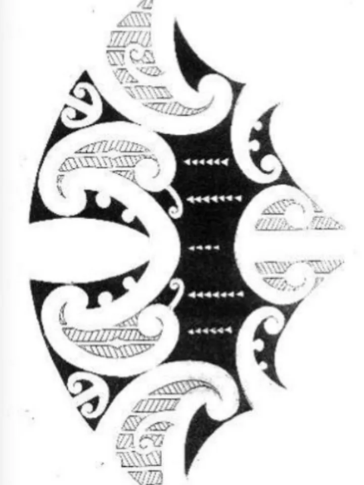 Shane Gallagher - Koru in lines