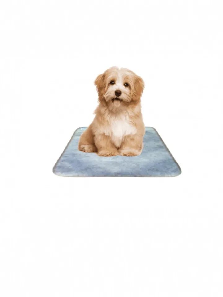 OLM / ULM healing Scenar therapy, Physiotherapeutic Mat - RITM 45x42 cm.