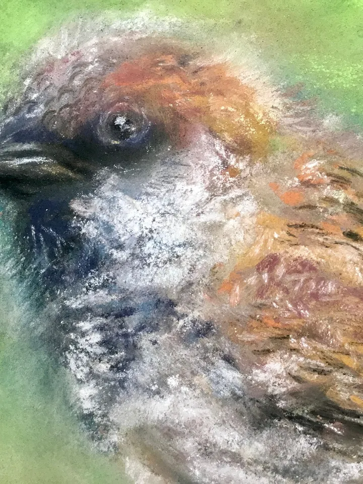 Sparrow bird original soft pastel painting on cardboard,nature,birds paintings,small painting gift,home decoration.
