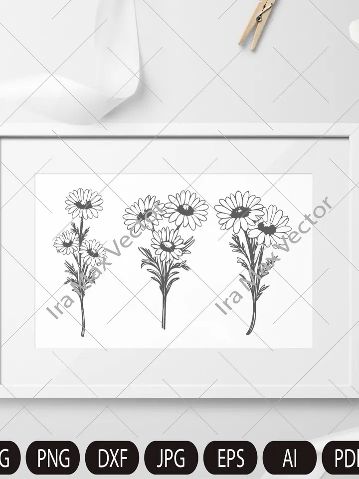 Chamomile Flowers Clip Art, Chamomile PNG, Floral Clipart, Herbal Clip Art, Wildflower, Wedding Invitation, Detailed Floral Illustration