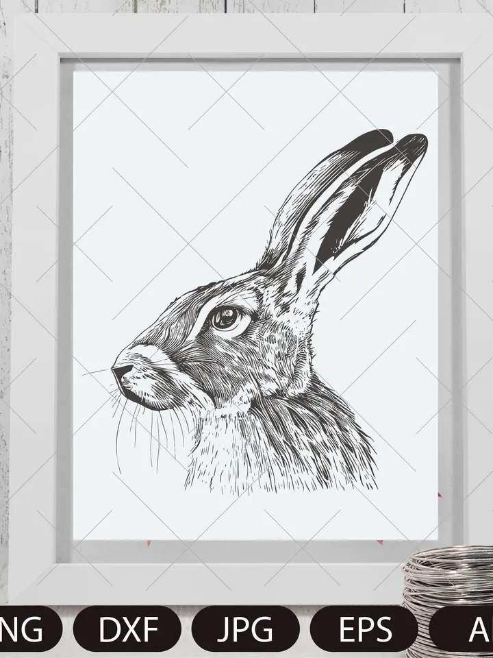 HARE png , clipart PNG, Easter hare  PNG, bunny Sublimation, Rabbit Clipart, spring Png, Bunny Png, spring sublimation.