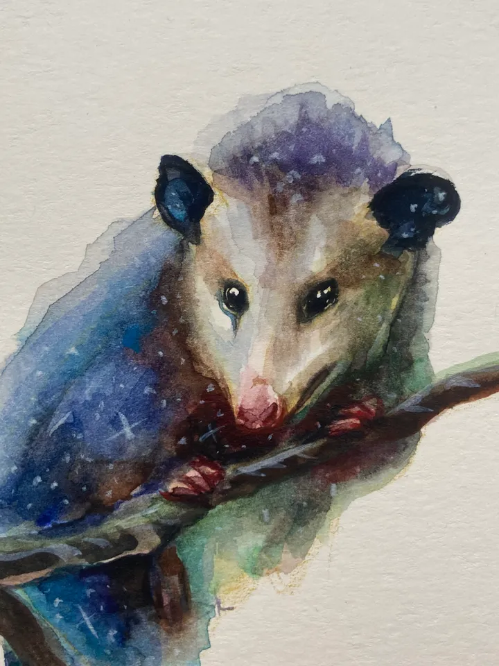 Opossum Painting Original Watercolor Painting Gift Small Animal Art Opossum Illustration Witchy Animals