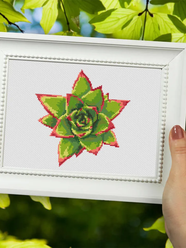 Succulent plant cross stitch pattern download PDF, Awesome floral cross stitch chart, Flower cross stitch, Plant pattern digital PDF #P27
