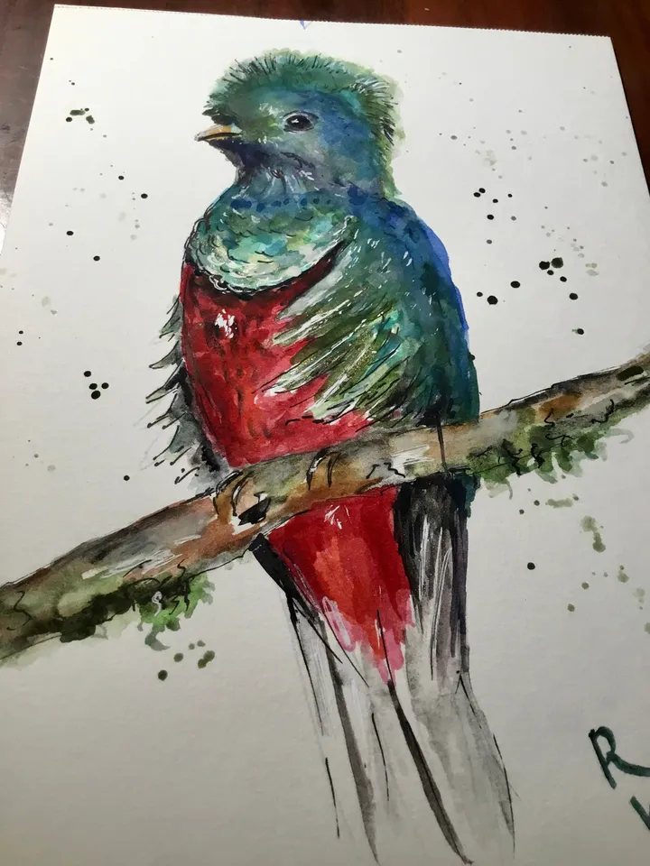 Quetzal bird original watercolour painting,exotic birds painting,watercolor birds wall art,small painting gift,original birds painting.